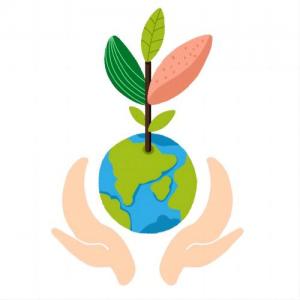 贺泓代表：尽快研究制定机动车国七排放标准